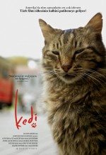 Kedi